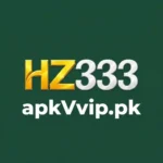 HZ333-Game-Image