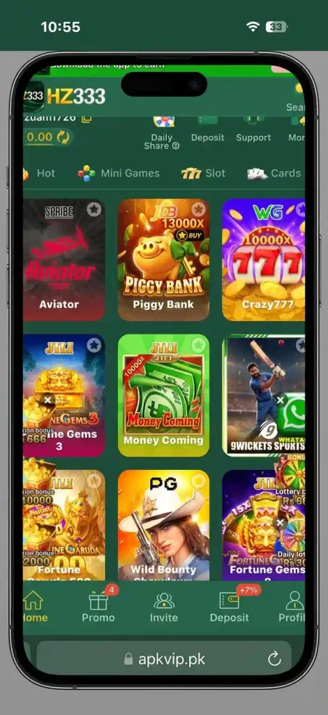 HZ333-Game