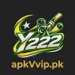 Y222-image