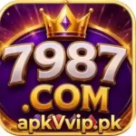 7987 image