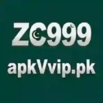 ZC999-Game-Image
